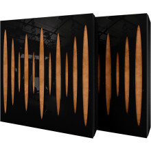 (Black glossy Plastic, Gold) 2 Pack - Diffuse Sound-Absorbing Acoustic Panel PULSAR with Velvet Fabric & Mounting Kit | 50x50x5cm | Reflection