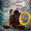 Interactive Dog Pull Ring – Tug Toy for Labradors (Two Sizes Available) 7