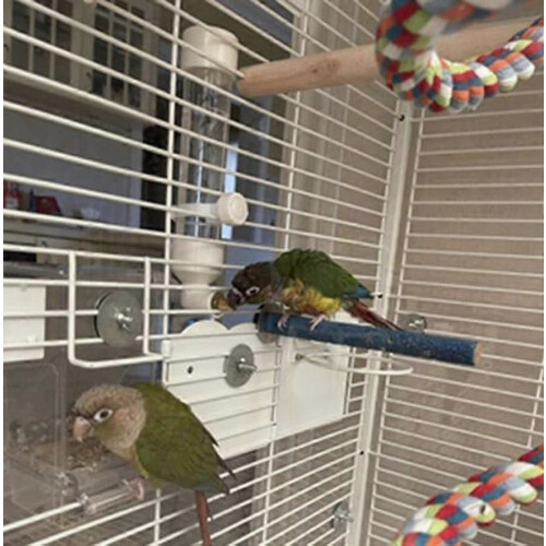 Pet Bird Water Feeder Parrot Automatic Drinking Device Cage Suspended, White 2