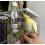 Pet Bird Water Feeder Parrot Automatic Drinking Device Cage Suspended, White 4