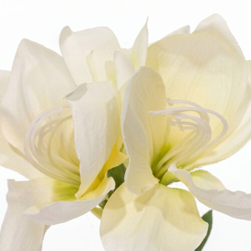 Homescapes Faux Cream Amaryllis in Pot, 36cm 2