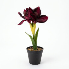 Faux Red Amaryllis in Pot, 36 cm