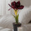 Homescapes Faux Red Amaryllis in Pot, 36 cm 2