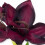 Homescapes Faux Red Amaryllis in Pot, 36 cm 3