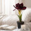 Homescapes Faux Red Amaryllis in Pot, 36 cm 5