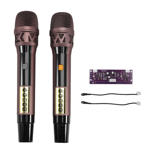 Microfono Wireless Portatile per Karaoke Domestico e Conferenze, Microfono con Altoparlante e Trolley per Karaoke e Canto .