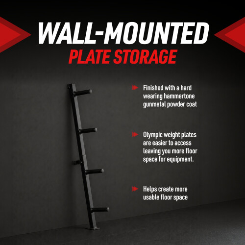 GYM MASTER Wall Mounted Olympic 2 inch Weight Plate Storage Rack Holder 1