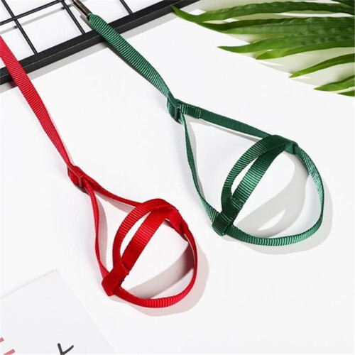 Adjustable Bird Harness & Strap – Training Supplies for Parrots 1