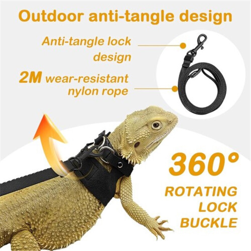 Bearded Dragon Leash & Harness Set – 3-Size Reptile Leash for Lizards 1