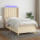 VidaXL vidaXL Boxspringbett mit Matratze & LED Creme 80x200 cm Stoff 1