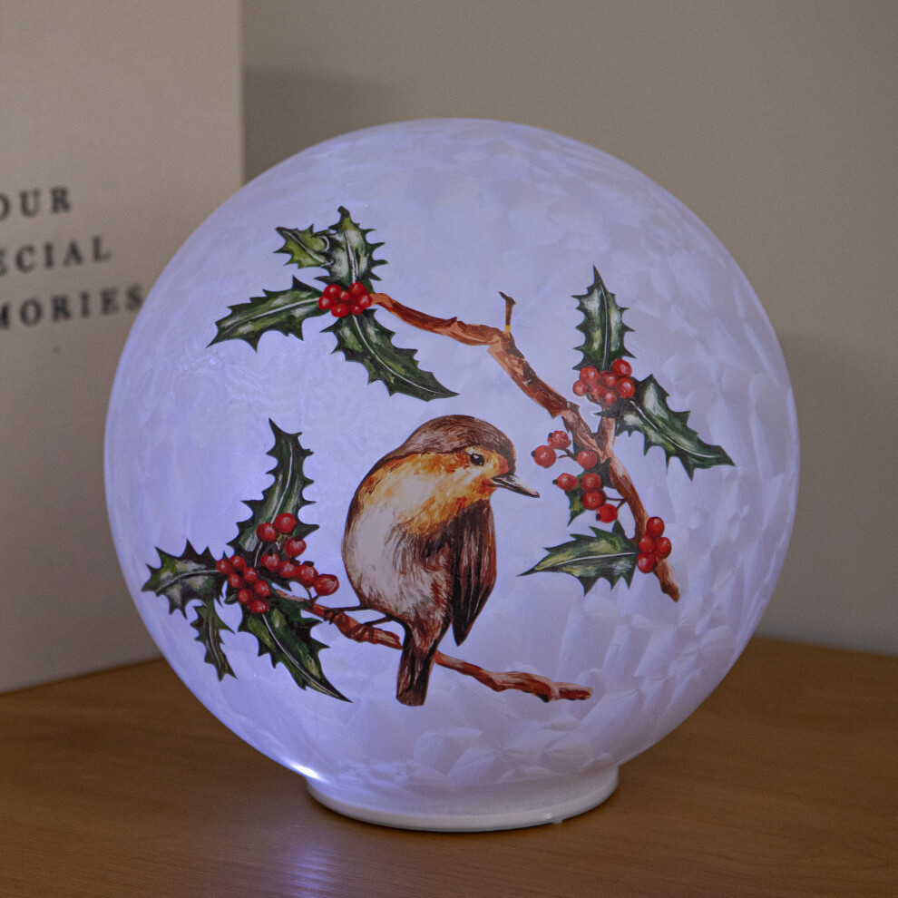 Samuel Alexander Light Up Christmas Glass Ball With Robin & 20 Cool White Leds