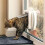 Brown Microchip Cat Flap – Secure Electronic Cat Door for Selective Access 2