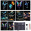Rainbow Scratch Art Notes Kit, 8-Pack Luminous Scratch Cards with 2 Designs Butterfly and Whale, Includes Scratch Tools 1