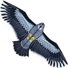 Touch the Sky 1.8m Eagle Kite for Kids & Adults, Easy to Fly Beginner Kite