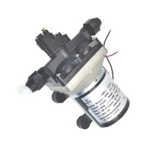 Frischwasserpumpe für Wohnmobile mit Filter, 3,0 GPM/LPM, für , Yachten und Boote, 4008-131-A65, 24 V