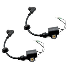 2 Pcs Ignition Coil Assy 61N-85570-00 for 2 Stroke 20 25 30 C30 Outboard Motor Replaces 61N-85570-10