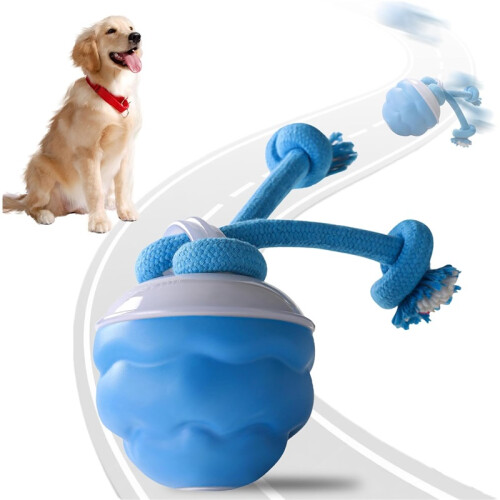 Interactive Dog Toy – Motion-Sensing Sound Rolling Ball