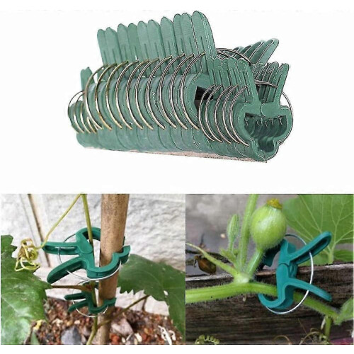 Ensemble de 40 pinces à plantes robustes, outils de taille de jardin indispensables