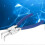 2025 4pc Professional 7in Circlip Snap Ring Pliers Set Straight Bent Internal External 4