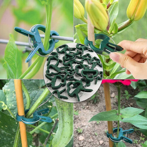 Ensemble de 40 pinces à plantes robustes, outils de taille de jardin indispensables 2