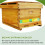 6 Pack Beehive Entrance Reducer, Bee Hive Mouse Guard 8 Frame,12.5Inch Plastic Beehive Sliding Mouse Guards 4