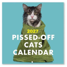 2027 Cats Wall Calendar Funny Cat Pictures with 12 Month Square Hanging Calendar Wall Decor & Gift for Cat Lover