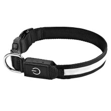 LED Dog Collar Rechargeable Night Safety Multimodal Change Color Pet Dog Collar Lighting Dog Supply Necklace S