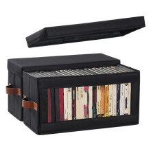 Confezione da 2 Scatole Porta DVD con Finestra Trasparente, Organizer Antipolvere per DVD con Coperchio e Maniglie