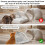 3PCS Rear Cover for Automatic Microchip Cat Pet Feeder Stops Pets Accessing Food From Back 3