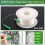 LC/APC Indoor Singlemode Glasfaser-Patchkabel, Transparent, G657A2, Unsichtbar, Singlemode, Einadrig, 50 M 2