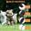 Adjustable Double Dog Leash – Tangle-Free Coupler Leash for Walking Two Dogs 3