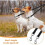 Adjustable Double Dog Leash – Tangle-Free Coupler Leash for Walking Two Dogs 5