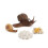 (Snail1)Simulation Solid Turtle Chick Frog Animal Growth Cycle Montessori Teaching Aids 1