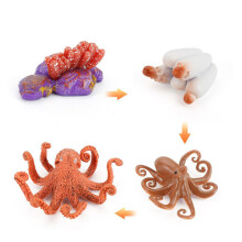 (Octopus)Simulation Solid Turtle Chick Frog Animal Growth Cycle Montessori Teaching Aids