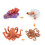 (Octopus)Simulation Solid Turtle Chick Frog Animal Growth Cycle Montessori Teaching Aids 1
