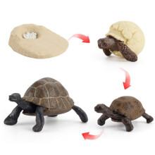 (Elephant Turtle2)Simulation Solid Turtle Chick Frog Animal Growth Cycle Montessori Teaching Aids