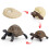 (Elephant Turtle2)Simulation Solid Turtle Chick Frog Animal Growth Cycle Montessori Teaching Aids 1