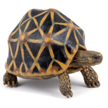 Figurine - PAPO - Stertortoise - Handgeschilderd - Sterpatronen - L7,5P5,6H4 cm