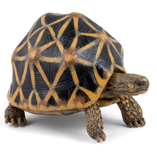 Figur - PAPO - Sternschildkröte - Handbemalt - Sternmuster - L7,5P5,6H4 cm