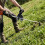 Universal Shovel Handle Replacement, Adjustable Weed Trimmer Handle Extension,for Shovels Rakes String Trimmers Snow 6