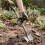 Universal Shovel Handle Replacement, Adjustable Weed Trimmer Handle Extension,for Shovels Rakes String Trimmers Snow 5