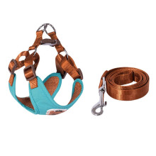 (Blue, S) Puppy Harness Four-Point Adjustable Breathable Mesh Vest Chest Back Body Shape Fit Harness