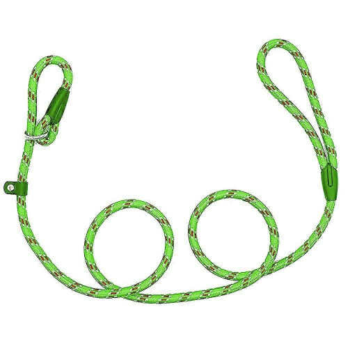 (Green, S) Adjustable Reflective Pet Carrier Leash for Safety Walks