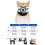 (L) Soft Reflective Fully Closed Multifunctional Adjustable Muzzle Stops Unwanted Behavior M 3