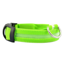 (Green, M) Illuminated Safety Dog Collar with LED Lights for Nighttime Walks and Runs