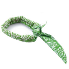 (Green) Cooling Collar Scarf Wrap Soaked Tie Neck Head Instant Cool Down for Dog and Men Women