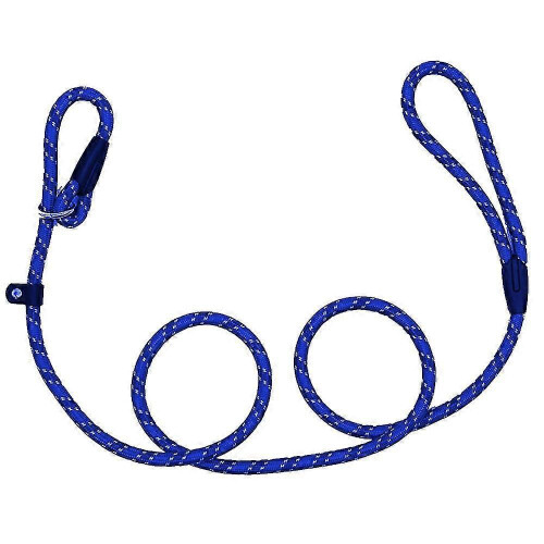 (Blue, S) Adjustable Reflective Pet Carrier Leash for Safety Walks