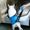 (Blue, XL) Adjustable Soft Padded No Pull Dog Lift Harness Pet Carrier for Training Support XL Blue 5