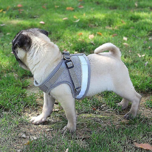 (Black, M) Escape Proof Cat Harness Secure No Pull Pet Harness for Walking Cats 2