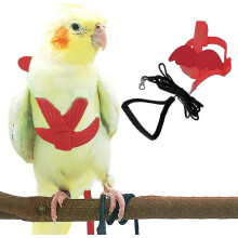 (Red, L) 80in Leash Adjustable Bird Harness Outdoor Flying Training Rope Parrots Cockatiel